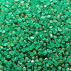 Glitter Drills - Clover, 15 Gram Jar of Specialty Drills (XC006)