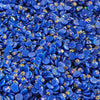 Glitter Drills - Royal Blue,15 Gram Jar of Specialty Drills (XC014)