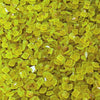Glitter Drills - Moss 15 Gram Jar of Specialty Drills (XC020)