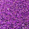 Glitter Drills - Purple 15 Gram Jar of Specialty Drills (XC024)