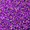 Glitter Drills - Purple 15 Gram Jar of Specialty Drills (XC024)
