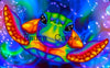 (v1.0) 'Technicolor Turtle' by Emma Casey, Diamond Painting Canvas Kit (006)